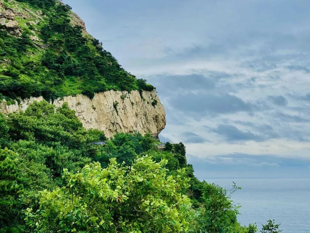 2020年美丽乡村青岛市,2023年青岛市美丽乡村项目