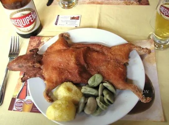 羊驼又叫什么神兽,羊驼为什么会排在十大神兽里