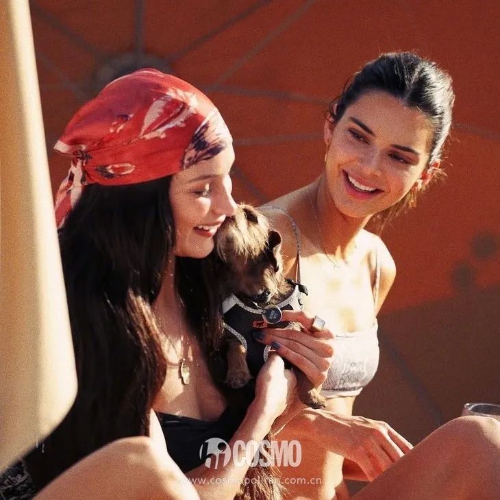 bella和kendall,kendall和bella