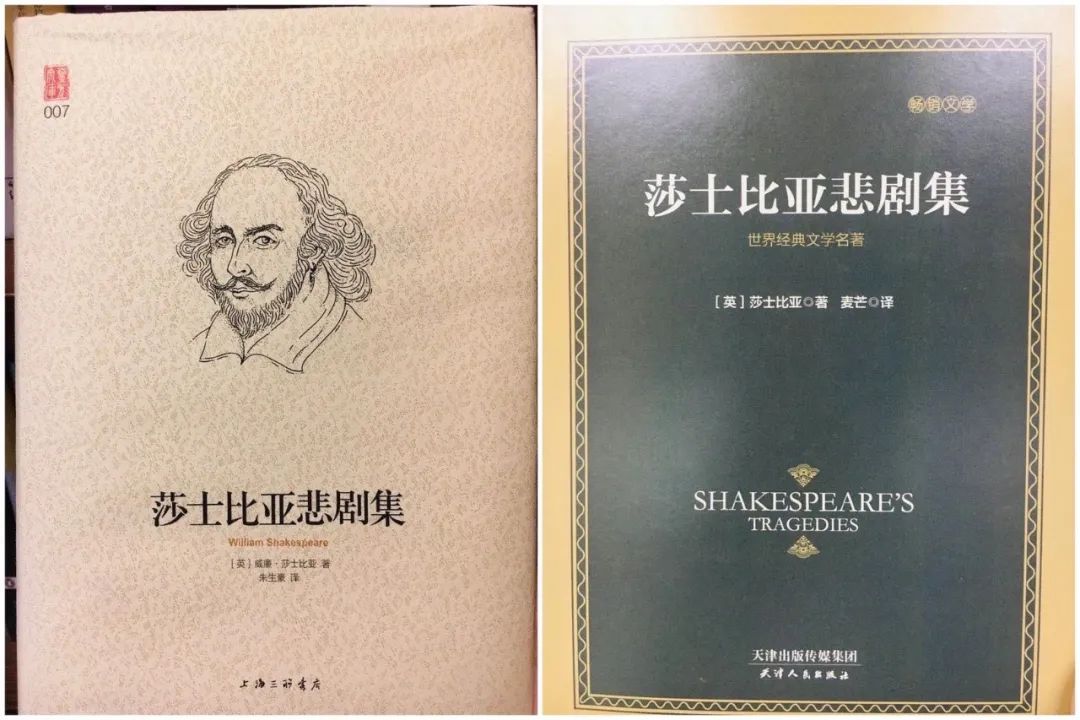 天津人民出版社多部译作被指涉嫌抄袭,出版业“洗版”现象早已有之