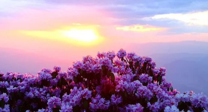 千年古城旅游,会理市千年古城