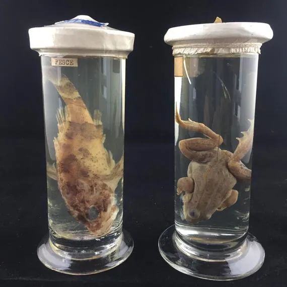 衣服总是皱巴巴的,衣服为啥老是很皱发黄