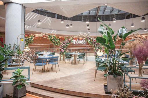 港式茶餐厅水晶虾饺,香港正宗点心虾饺