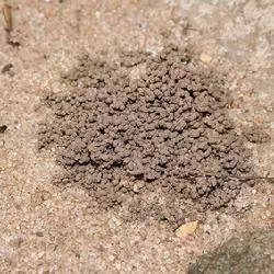 据说最为齐全的30种多肉常用土壤的资料及20种配土方案,不会配土的可以做个参考