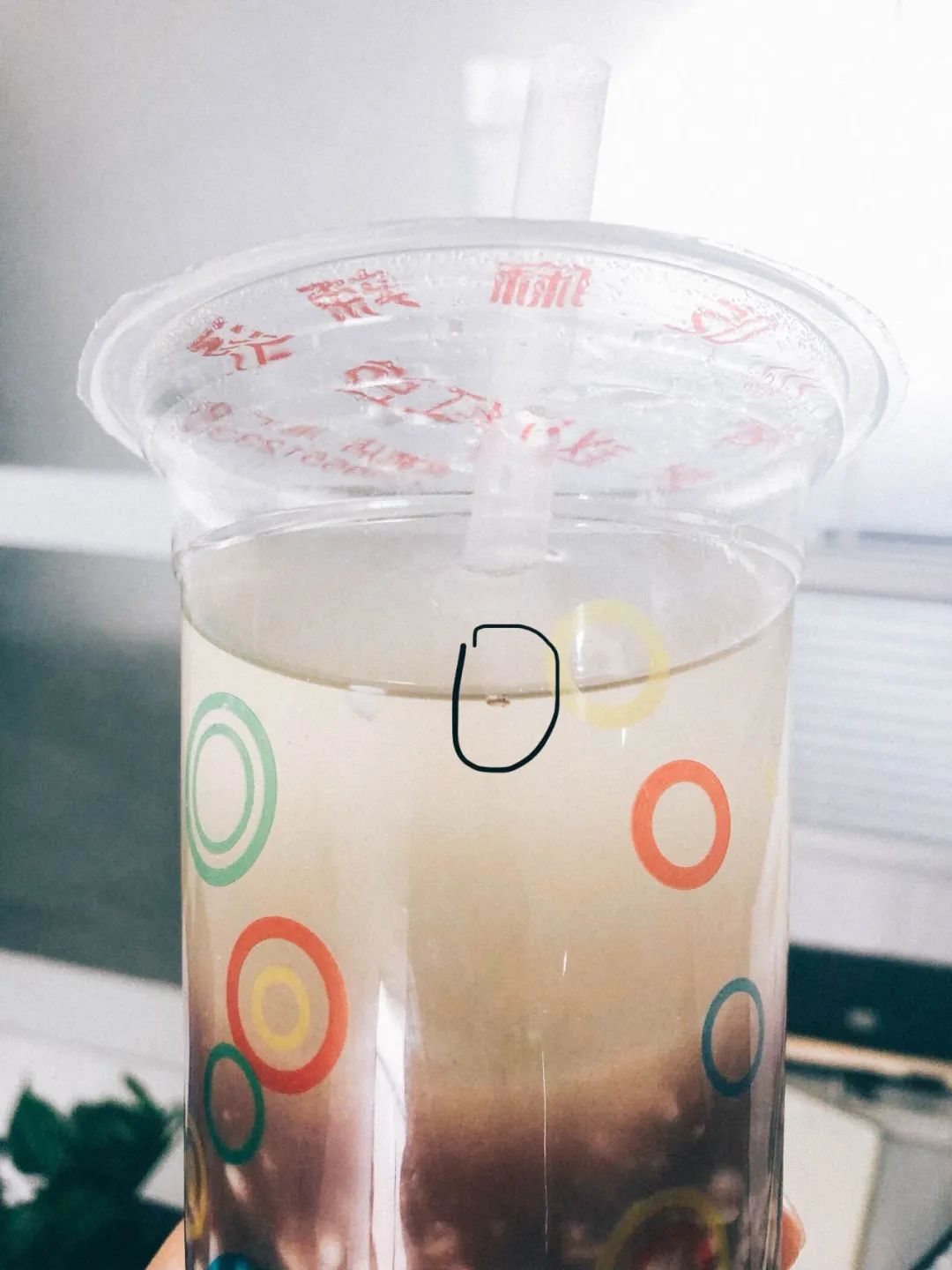 芜湖老字号到合肥,命运如何?