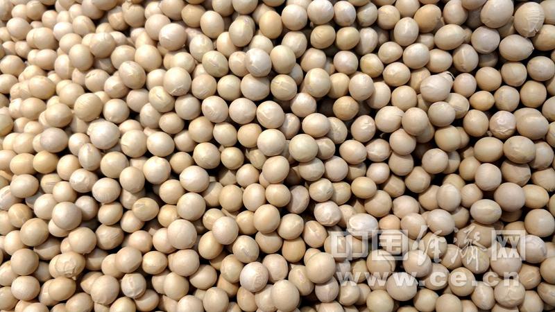 平常吃的哪些食物有钙,含钙量高的食物补充流失的钙