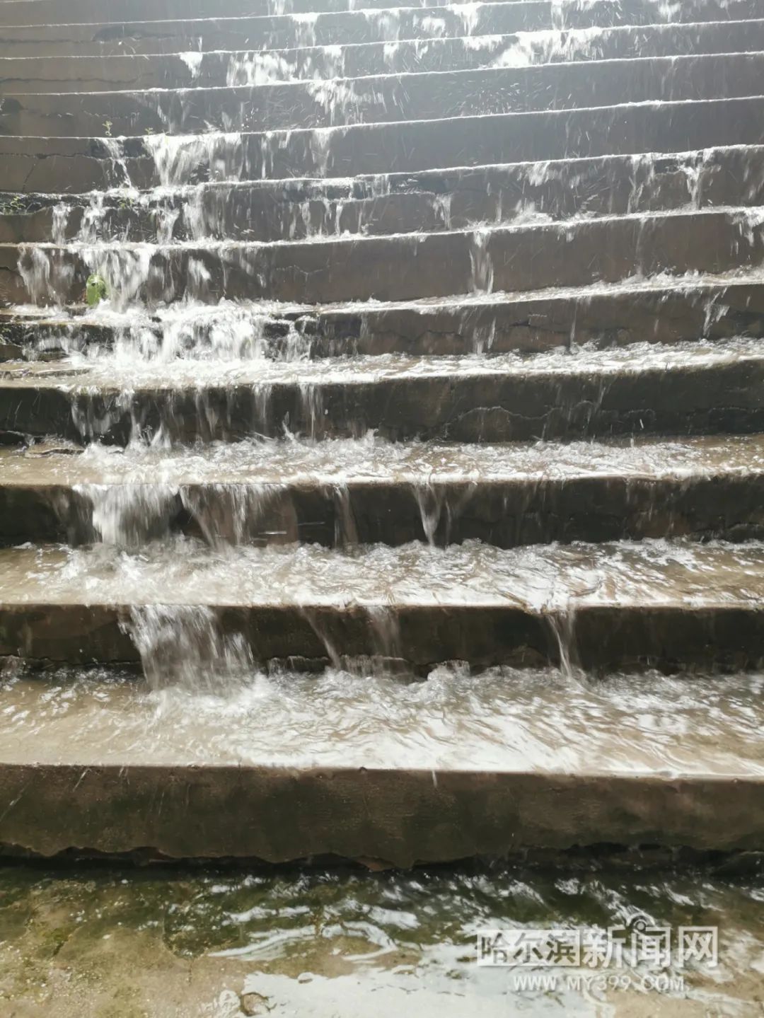 佳木斯台风巴威降水量多少,巴威到大庆