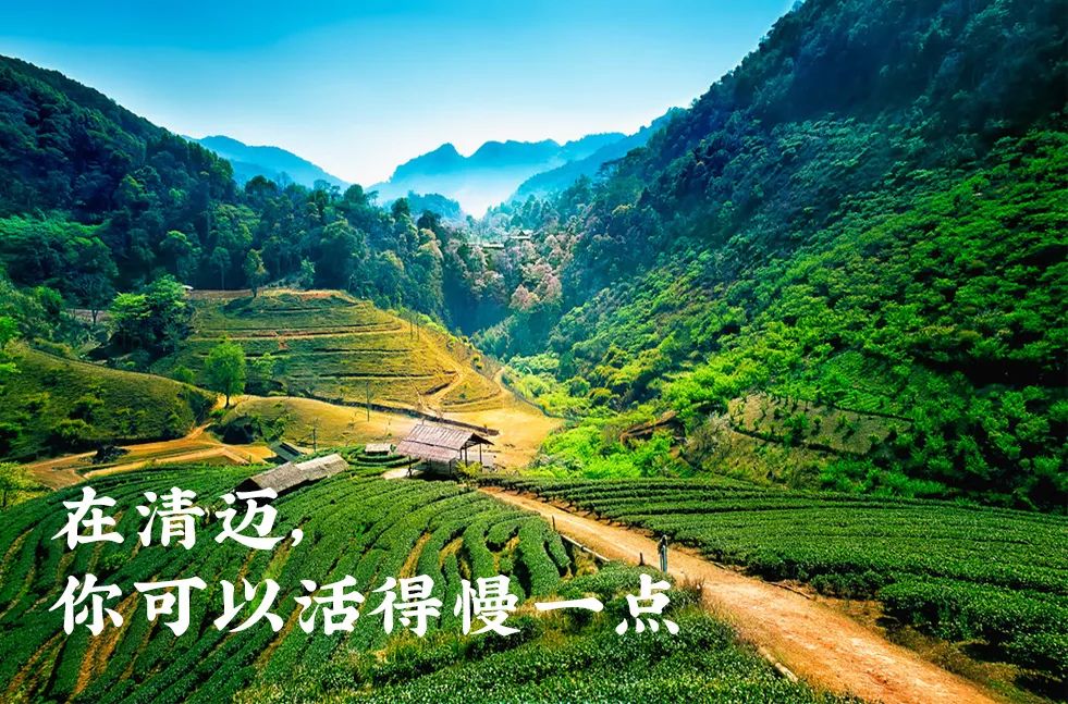 定居清迈的真实生活,生活在清迈的真实感受