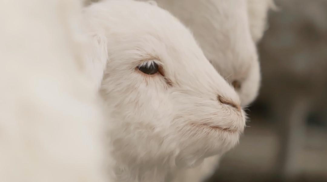 去skp买东西不给小票,北京skp-s不花钱能逛吗