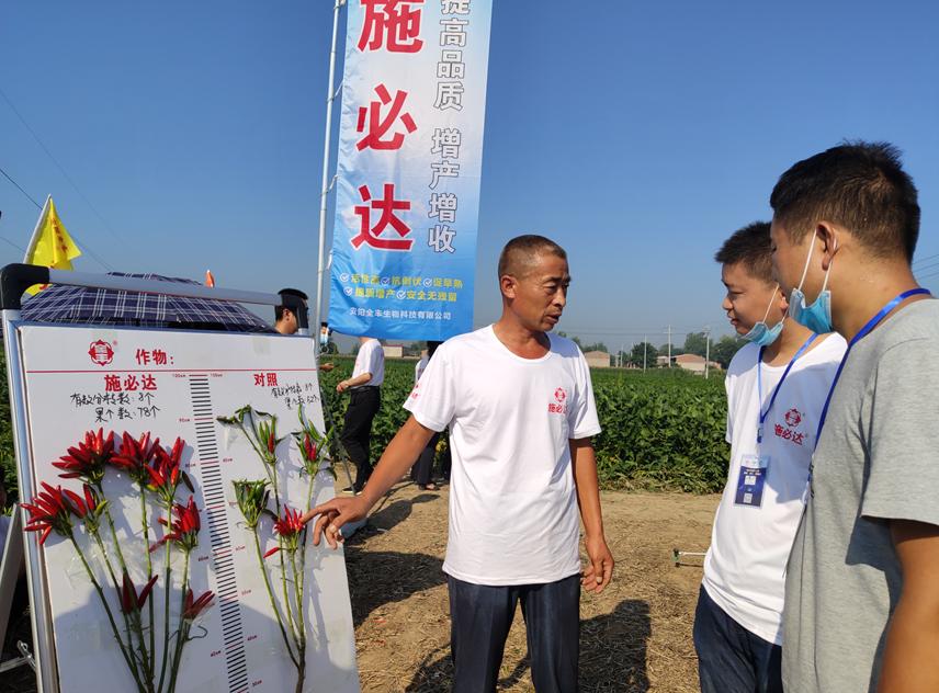 全丰施必达国光,辣椒叶面肥增产专用