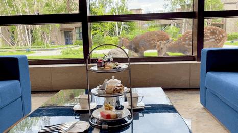 去长白山哪家酒店度假最好,长白山最佳观景酒店