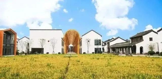 集体土地征收案件裁判规则30则,集体土地征收案件裁判规则