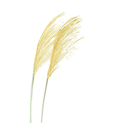 民族团结一家亲同心共筑新征程,民族团结一家亲共筑美丽复兴梦