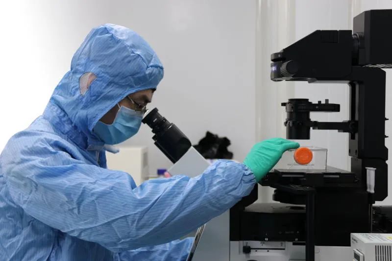 采访李院士视频,李陶博士研究团队