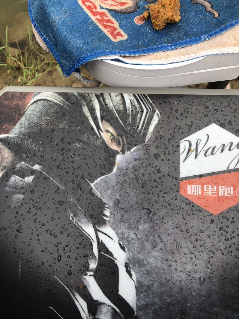 大风大浪钓大鱼完整视频,大风大浪钓大鱼是真的吗