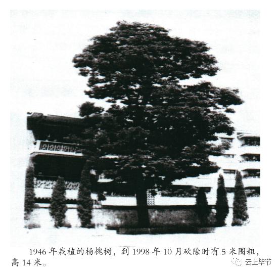 黔西老城记忆70年代,黔西北记忆