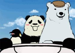 抽出来的脂肪为什么是液体,抽出来的脂肪去哪里了