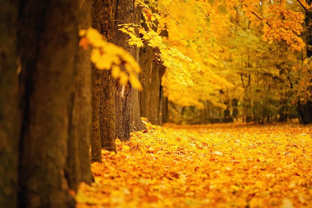 夜听美文林清玄,林清玄闭关3年悟出的4个人生哲理