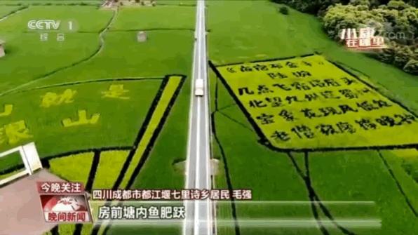 成都周边一日游网红打卡地民宿,成都网红打卡地旅游民宿