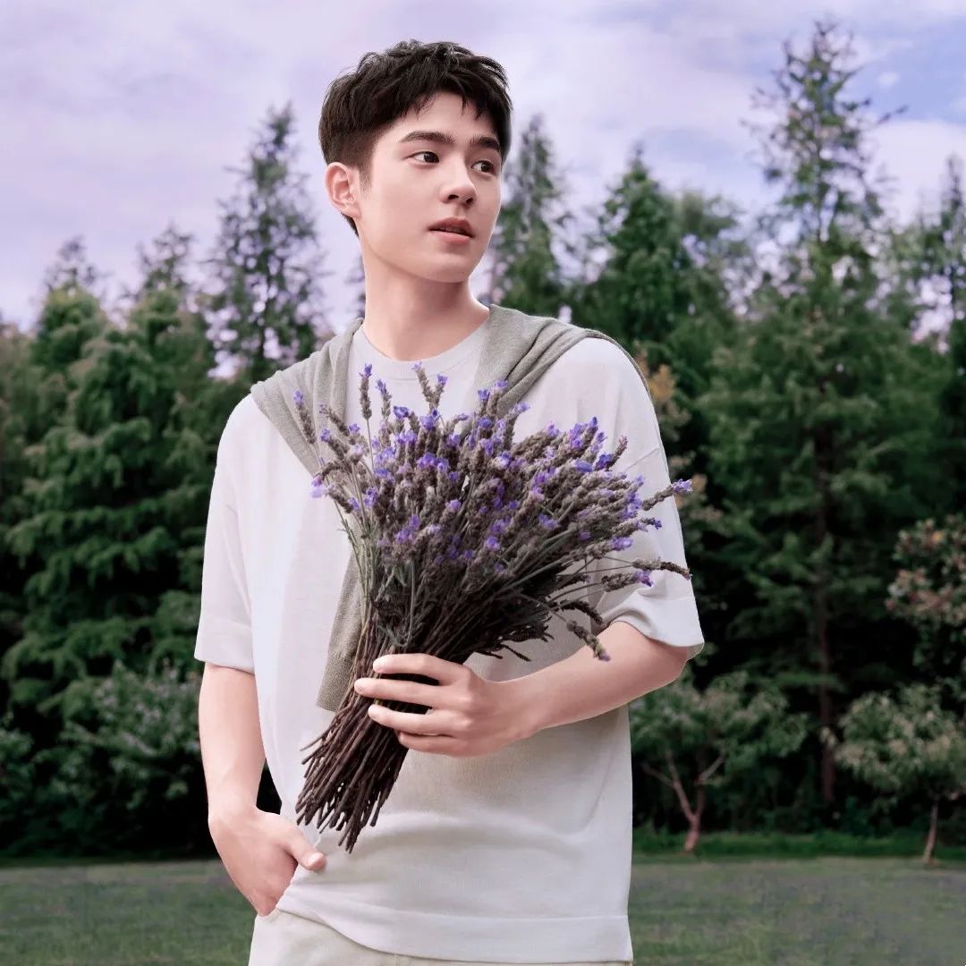 傻脸娜组合,傻脸娜官宣的有几个