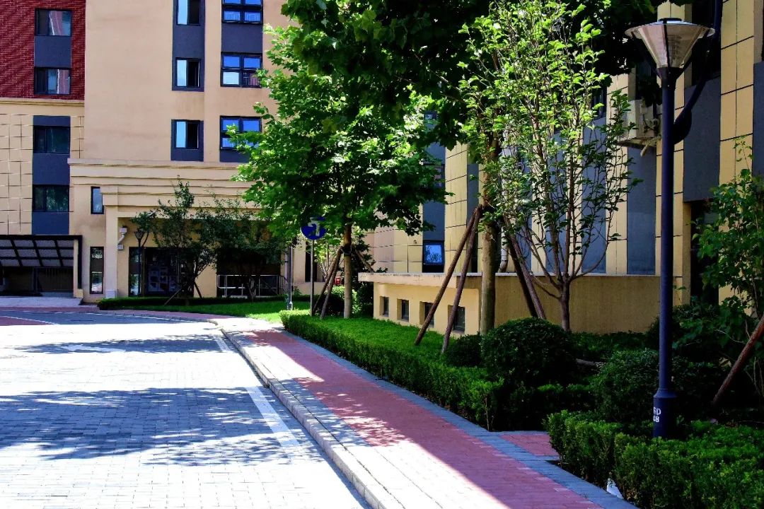 又一批教师住有所居！“教师节大礼包”再次奉上