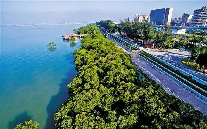 深圳宝安区西乡大道改造,宝安40年蝶变