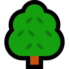 新战友旅游攻略,下半年入伍全攻略