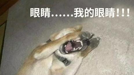 眼睛被辣到了怎么办快速解决,眼睛被辣了怎么办