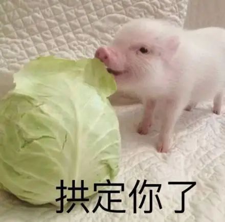 女子剁猪骨受伤患病,广西女子剁猪骨患上罕见的病