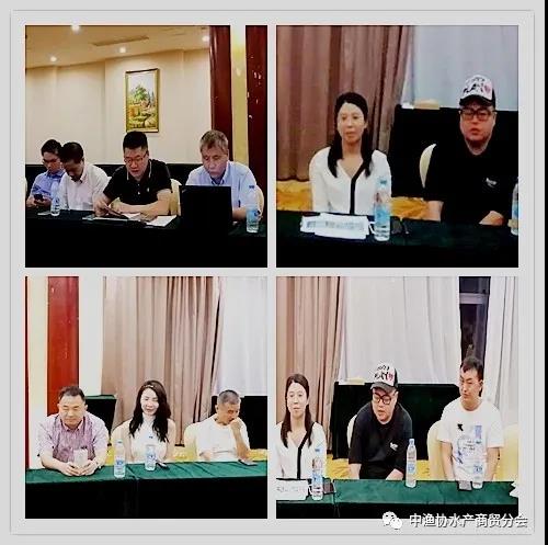 中国大闸蟹领跑者蟹都汇,蟹都汇大闸蟹盛大开业