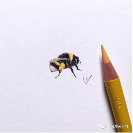 乳腺癌前病变严重吗,最后的防线国语版