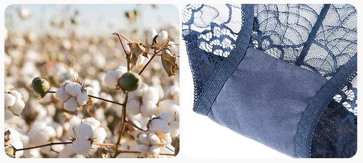 这条优雅精致、凉爽如风的蕾丝*裤内**，是你藏不住的女人味