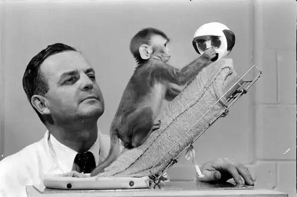 孩子行为异常是什么意思,孩子行为背后的生理心理原因