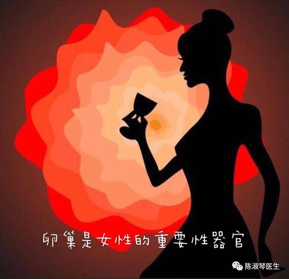 月经产生的主要机理是,月经是什么原理