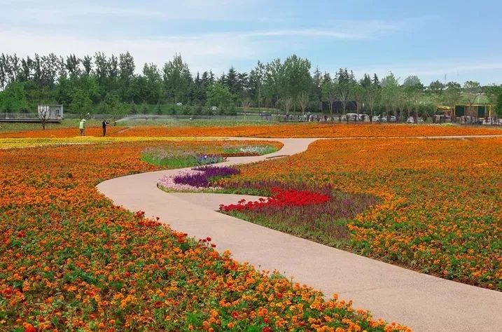 越夜越嗨丨顶级夜跑景区，给你成本最低的人鱼线！