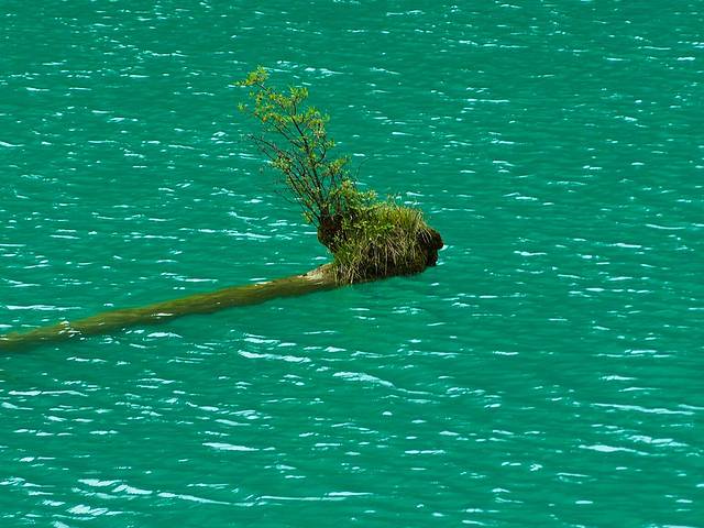 初秋,与神话九寨的浪漫之约