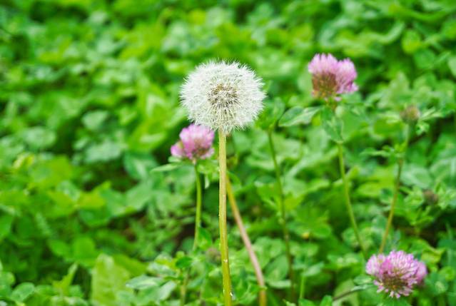 初秋，与神话九寨的浪漫之约