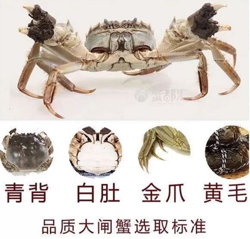 汇天下好蟹于一都，年销售额近8亿元！全国700多家“螃蟹银行”，只为提供真正好蟹