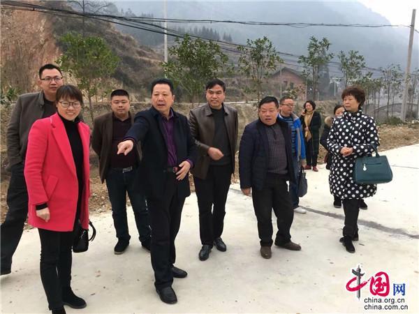 梅岭村梅花,梅溪镇梅岭村