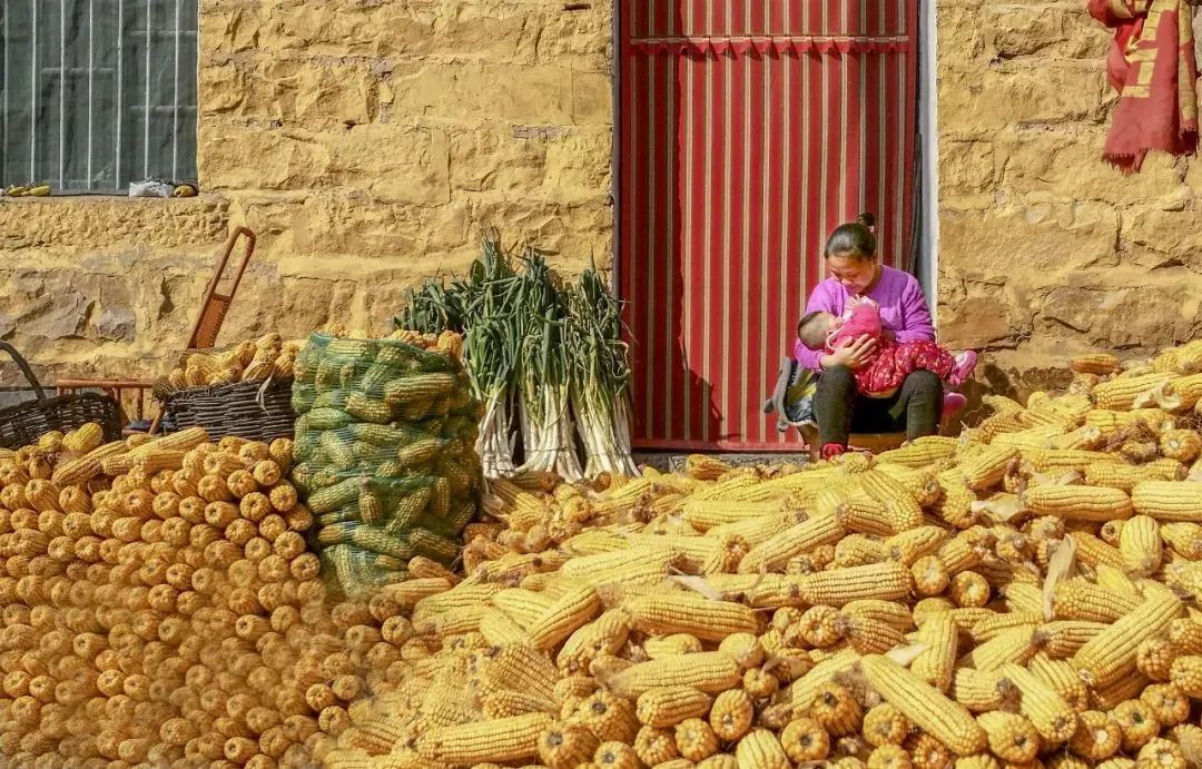 秋分的小知识有什么,今日秋分告诉孩子这些小知识