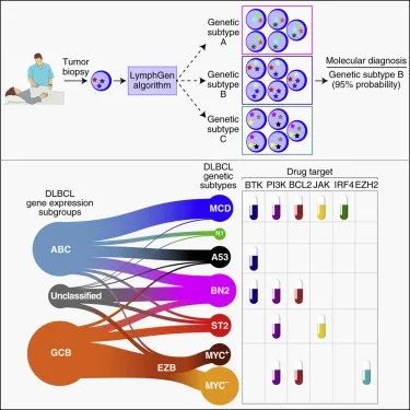 李小秋谈淋巴瘤治疗,2021csco临床肿瘤学进展