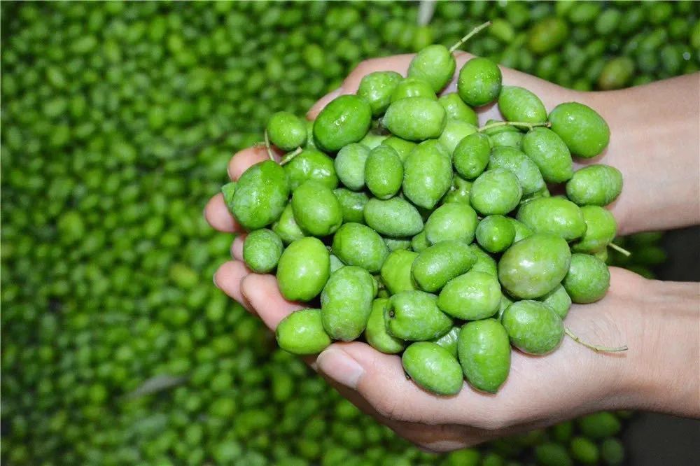 武都旅游景点大全,武都旅游线路