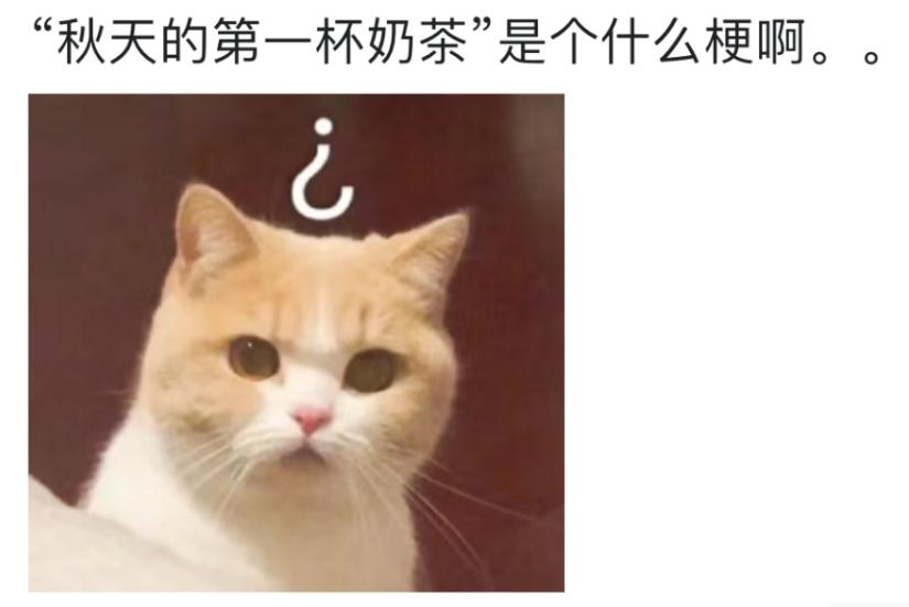 秋天的第一杯奶茶梗如何回复,秋天的第1杯奶茶是什么梗