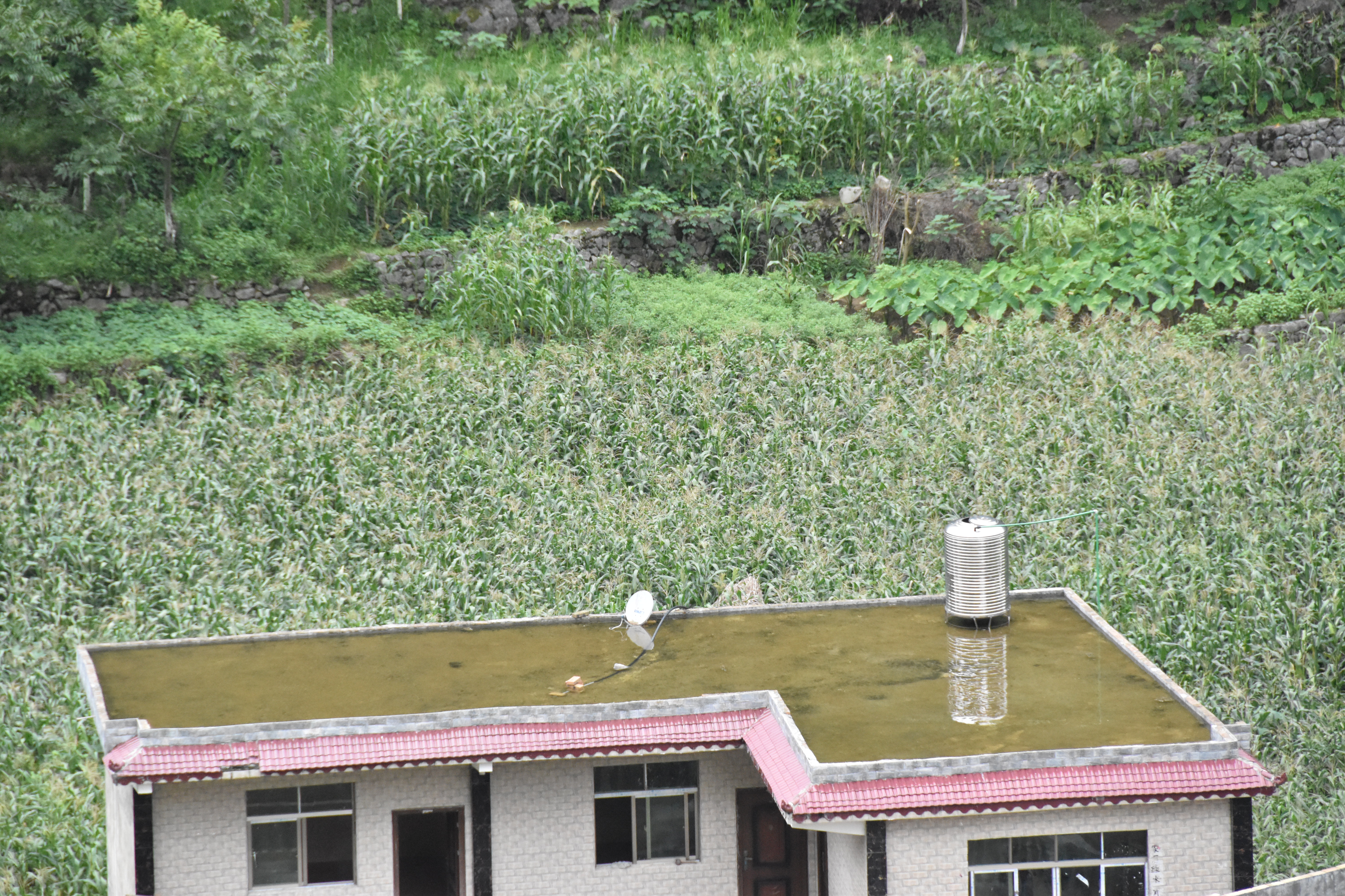 “清零”最后关口，这些战贫一线干部如何拼？