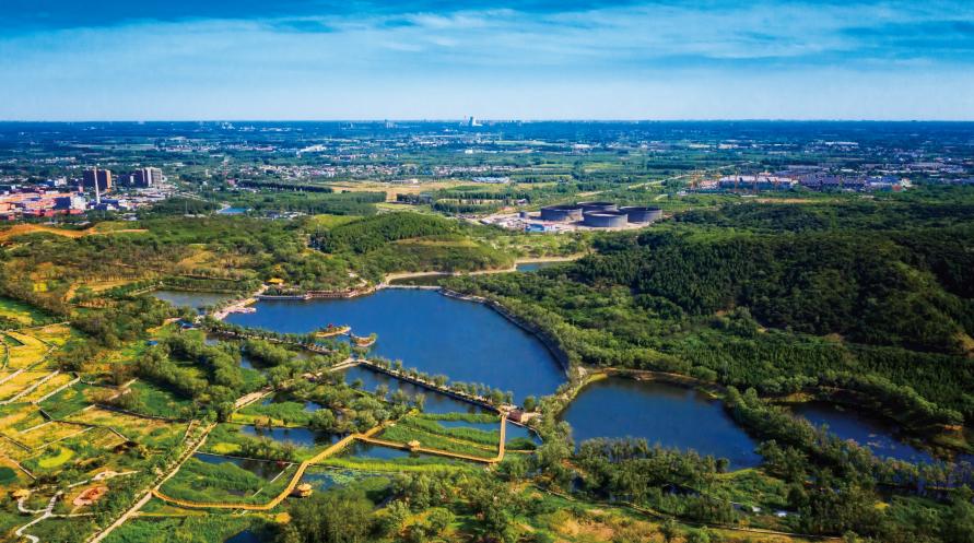 两山论征文,两山论的议论文