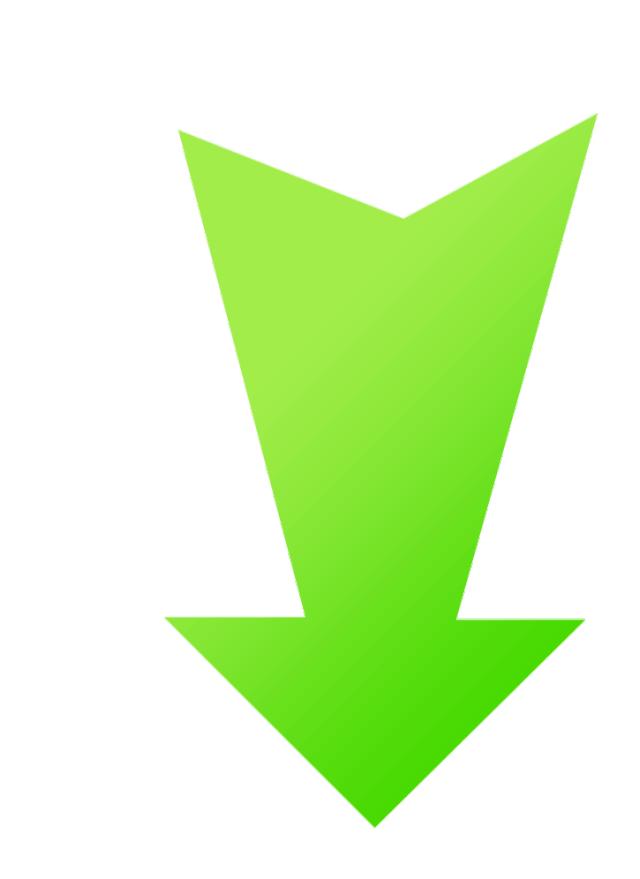 肇庆市端州区篮球联赛四强赛,端州区四强赛