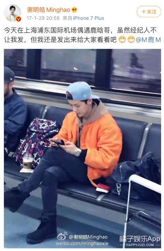 谢明皓和曲婉婷,谢明皓与曲婉婷