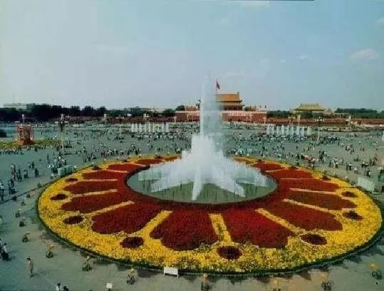 天安门广场花坛里的美景,有一种美叫天安门广场国庆花坛