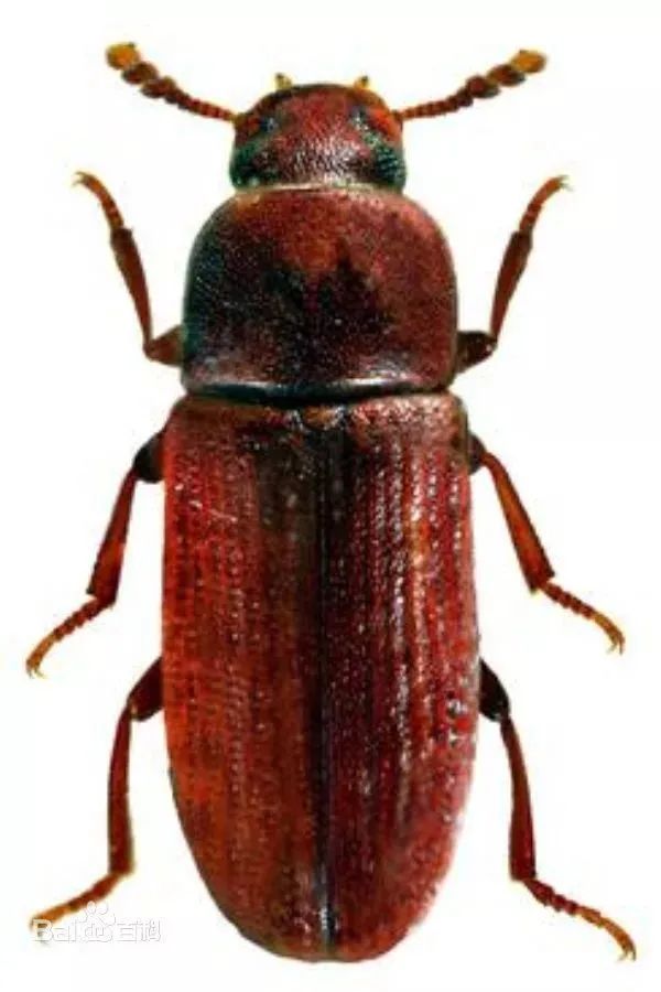 海关出口小知识,海关小知识大全集