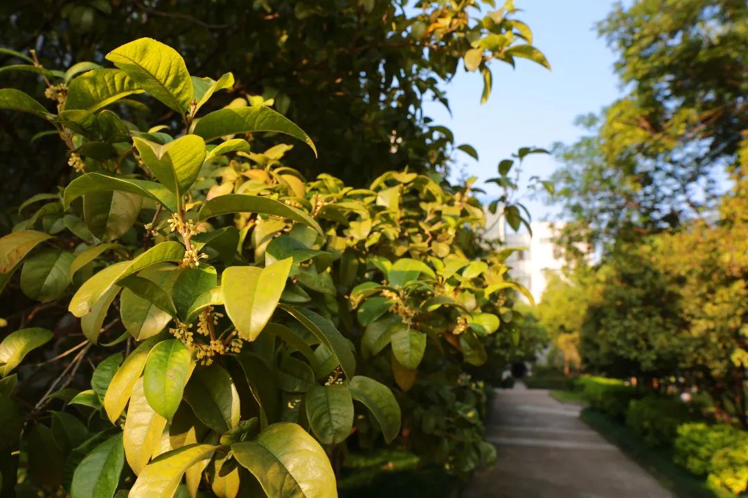 滨江多思创新学校,滨江学校全部排名